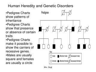 Human Heredity and Genetic Disorders