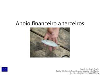 Apoio financeiro a terceiros