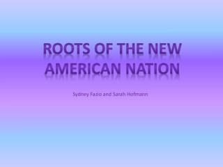 Roots of the new American nation