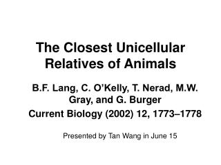 The Closest Unicellular Relatives of Animals