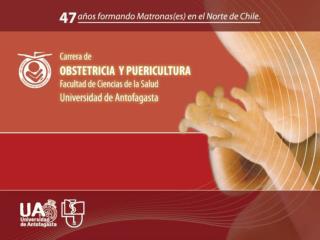 PREPARACIÓN PROCESO DE ACREDITACIÓN Estamento Estudiantil Carrera Obstetricia y Puericultura