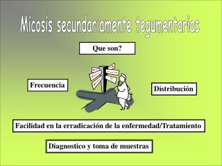 Micosis secundariamente tegumentarias