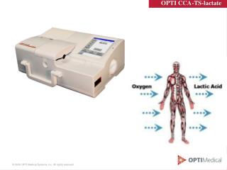 OPTI CCA-TS-lactate