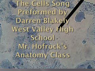 The Cells Song Preformed by Darren Blakely West Valley High School Mr. Hofrock’s Anatomy Class