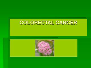 COLORECTAL CANCER