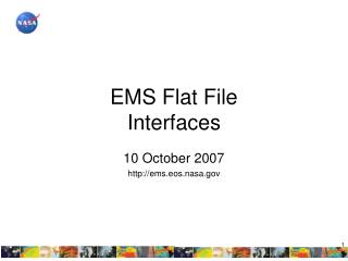 EMS Flat File Interfaces