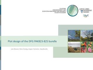 Plot design of the DFG PAK823-825 bundle