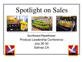 Spotlight on Sales