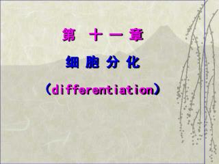 第 十 一 章 细 胞 分 化 （ differentiation ）