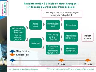 Randomisation à 6 mois en deux groupes : endoscopie versus pas d’endoscopie