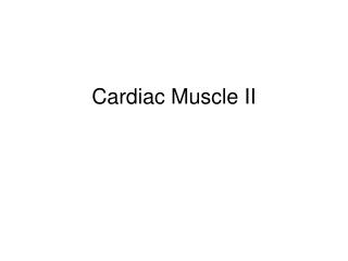 Cardiac Muscle II