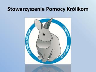 Stowarzyszenie Pomocy Królikom