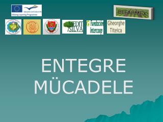 ENTEGRE MÜCADELE