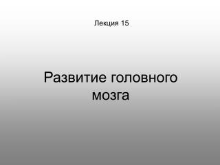 Лекция 1 5