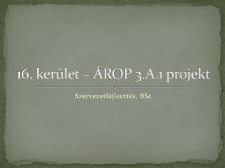 16. kerület – ÁROP 3.A.1 projekt