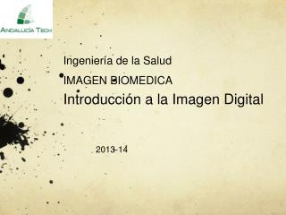 Ingeniería de la Salud IMAGEN BIOMEDICA Introducción a la Imagen Digital