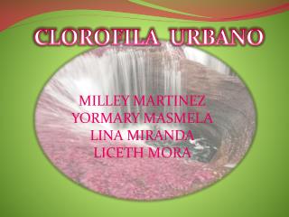 CLOROFILA URBANO