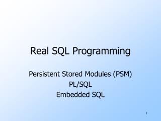 Real SQL Programming