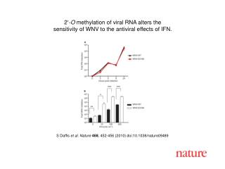 S Daffis et al. Nature 468 , 452-456 (2010) doi:10.1038/nature09489