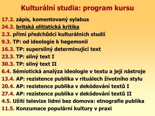 Kulturální studia: program kursu