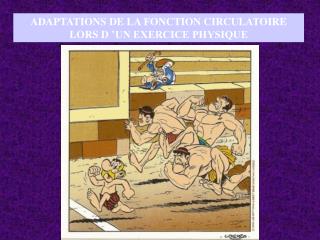 ADAPTATIONS DE LA FONCTION CIRCULATOIRE LORS D ’UN EXERCICE PHYSIQUE