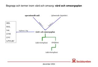 vård- och omsorgsplan