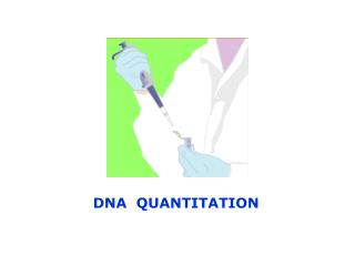 DNA QUANTITATION