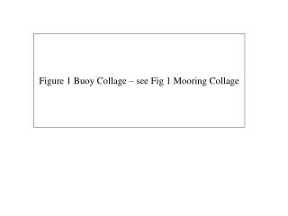 Figure 1 Buoy Collage – see Fig 1 Mooring Collage