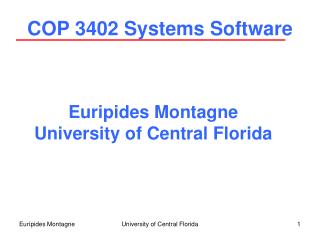 COP 3402 Systems Software