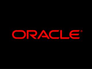 Vasja Herbst Regional Director Oracle Adriatics