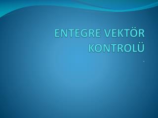 ENTEGRE VEKTÖR KONTROLÜ