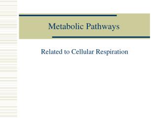 Metabolic Pathways