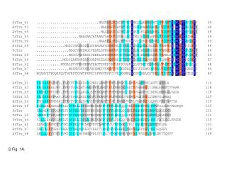 S Fig. 1A.