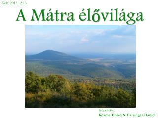 A Mátra élővilága