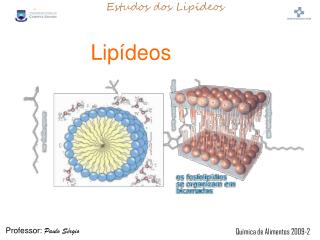 Lipídeos