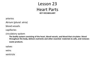 Lesson 23 Heart Parts
