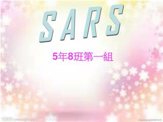 5 年 8 班第一組