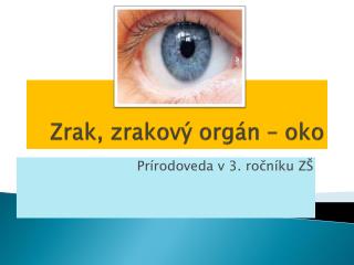 Zrak, zrakový orgán – oko