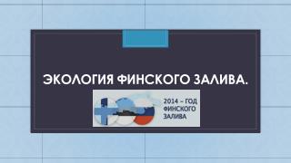 Экология Финского залива.