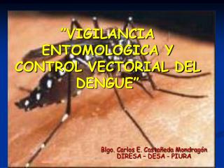 ”VIGILANCIA ENTOMOLOGICA Y CONTROL VECTORIAL DEL DENGUE”