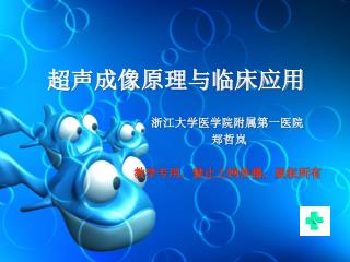 超声成像原理与临床应用