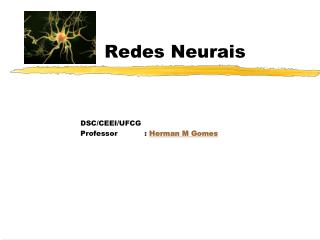 Redes Neurais