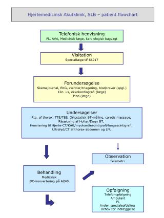 Hjertemedicinsk Akutklinik, SLB – patient flowchart