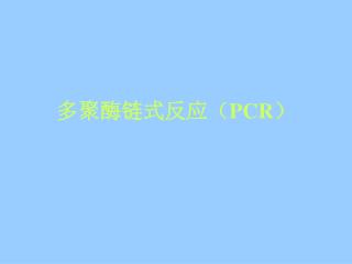 多聚酶链式反应（ PCR ）