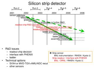 Silicon strip detector