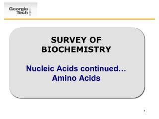 SURVEY OF BIOCHEMISTRY Nucleic Acids continued… Amino Acids