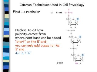 Common Techniques Used in Cell Physiology