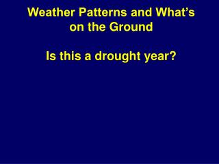 Weather Patterns and What’s on the Ground Is this a drought year?