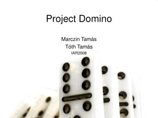 Project Domino