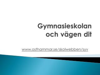 Gymnasieskolan och vägen dit